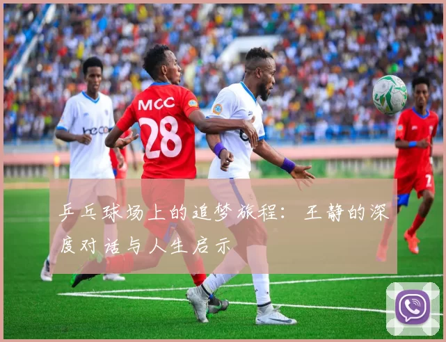 乒乓球场上的追梦旅程：王静的深度对话与人生启示