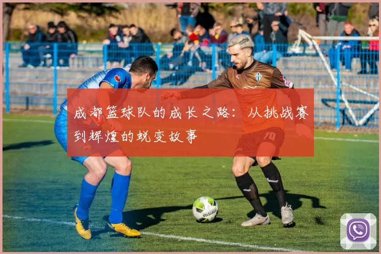 成都篮球队的成长之路：从挑战赛到辉煌的蜕变故事