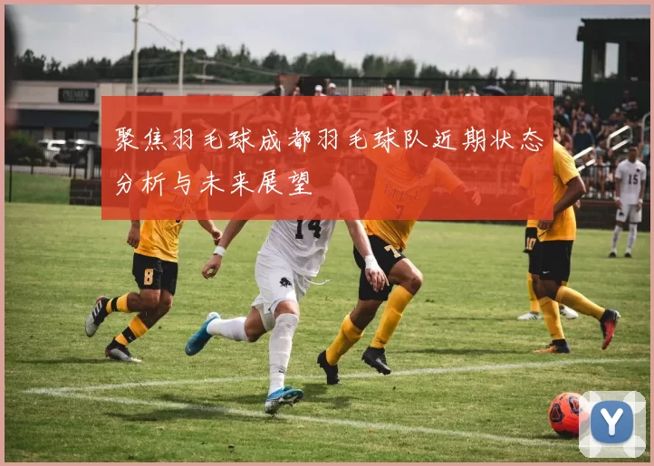 聚焦羽毛球成都羽毛球队近期状态分析与未来展望
