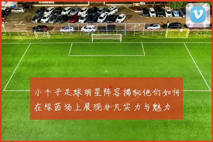 小个子足球明星阵容揭秘他们如何在绿茵场上展现非凡实力与魅力