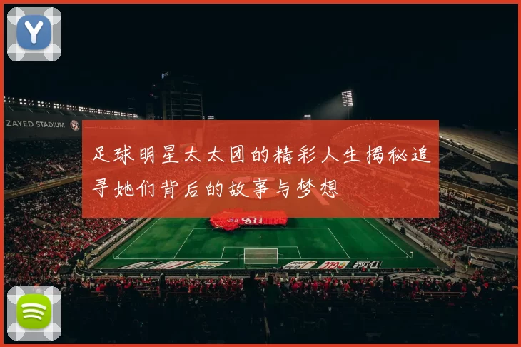 足球明星太太团的精彩人生揭秘追寻她们背后的故事与梦想