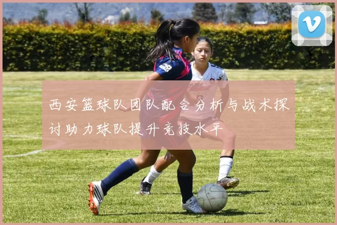 西安篮球队团队配合分析与战术探讨助力球队提升竞技水平