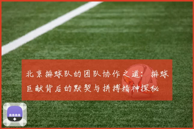 北京排球队的团队协作之道：排球巨献背后的默契与拼搏精神探秘