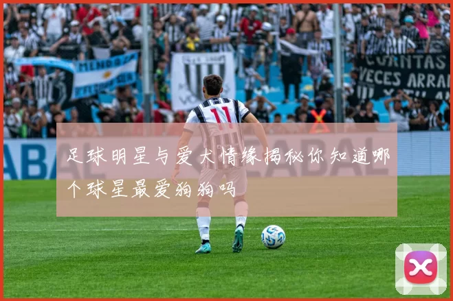 足球明星与爱犬情缘揭秘你知道哪个球星最爱狗狗吗