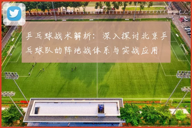 乒乓球战术解析：深入探讨北京乒乓球队的阵地战体系与实战应用